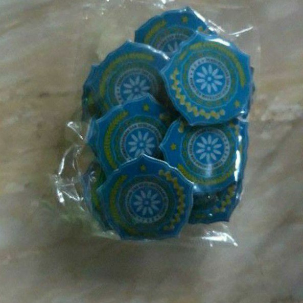 Jual Pin PKK 3 /3.5cm lapis resin satuan | Shopee Indonesia