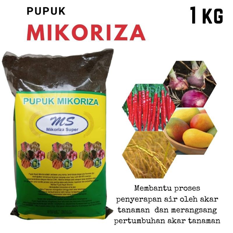 Jual Pupuk Mikoriza Ready Pupuk Organik Menyuburkan Tanah Shopee