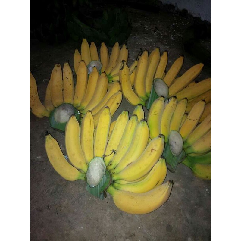 Jual Pisang Raja / sisir | Shopee Indonesia
