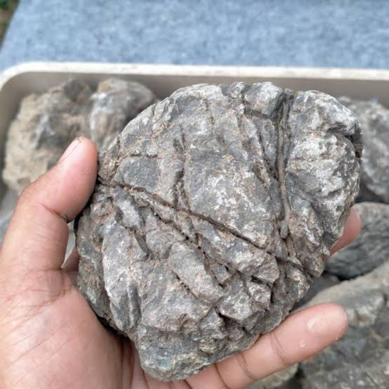 Jual Batu Turly Stone Aquascape GRADE A | Shopee Indonesia