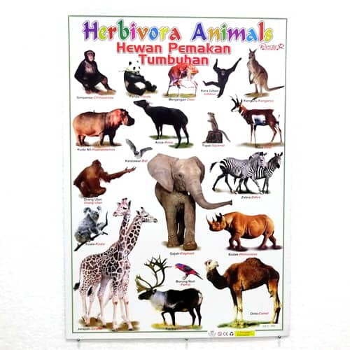 Jual Poster Hewan Herbivora | Shopee Indonesia