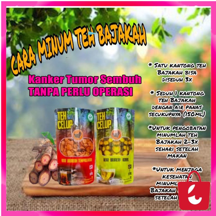 Jual Asli Teh Celup Akar Kayu Bajakah Asli Kalimatan Kuning Merah Tampala Obat Herbal