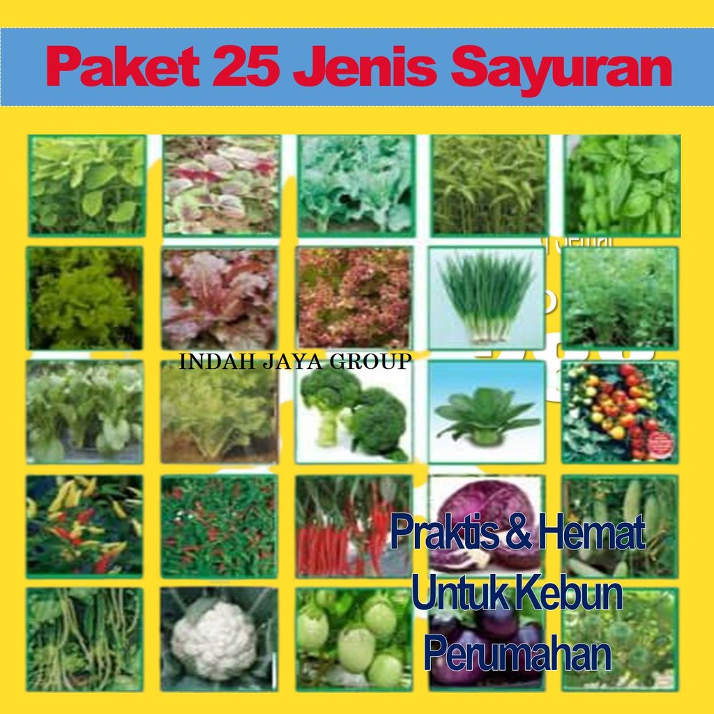 Jual Paket Benih Unggul Sayuran 25 Jenis Untuk Berkebun Media Tanah