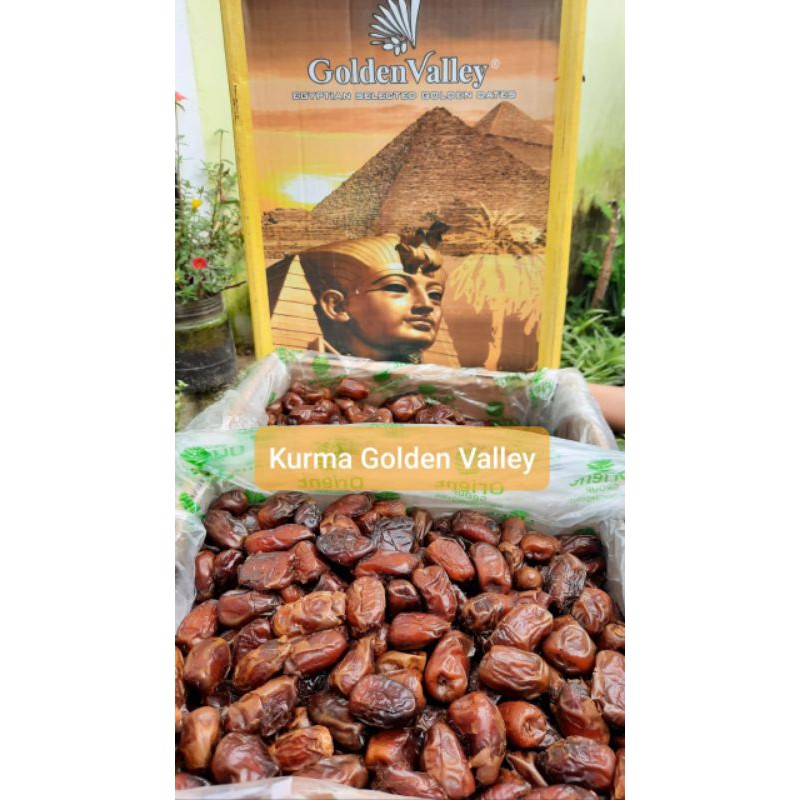 Jual Kurma kemasan 250gr | Kurma Basah manis snack kiloan kurma kiloan ...