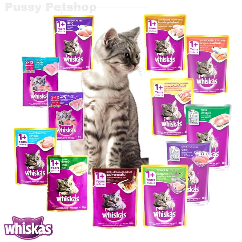 Jual Whiskas Sachet Pouch Wet Food Makanan Basah Untuk Kucing Shopee
