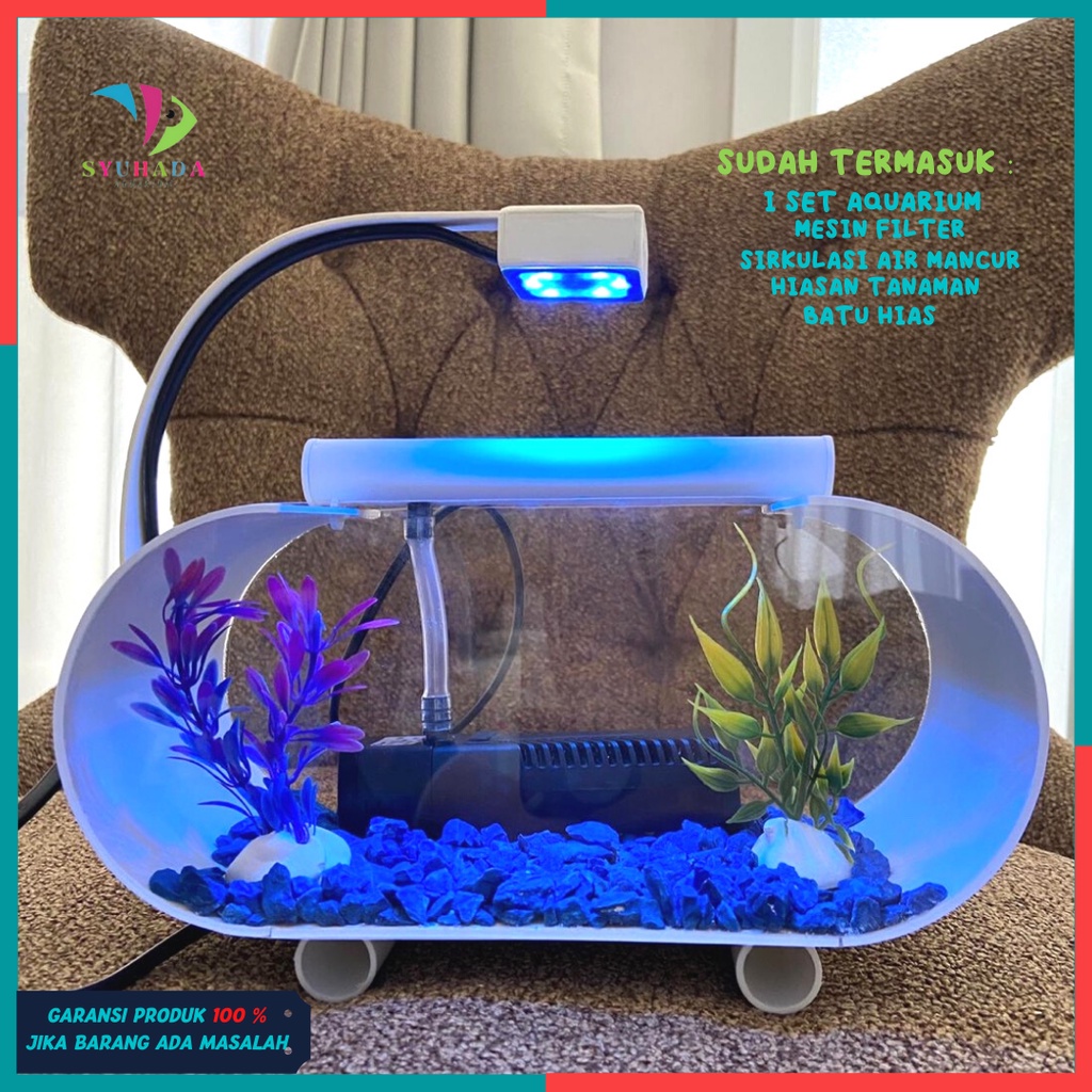 Aquarium mini online