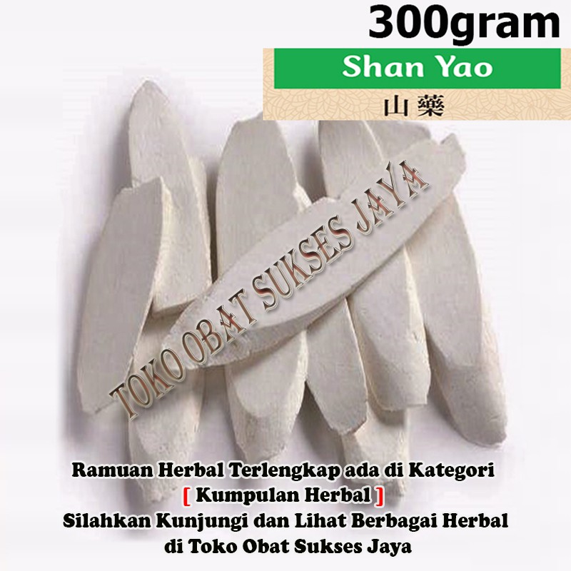 [300gram - Grade A ]  Gu Huai Shan Yao / Shan Yao / Chinese Yam Rhizome - Radix Dioscoreae Oppositae