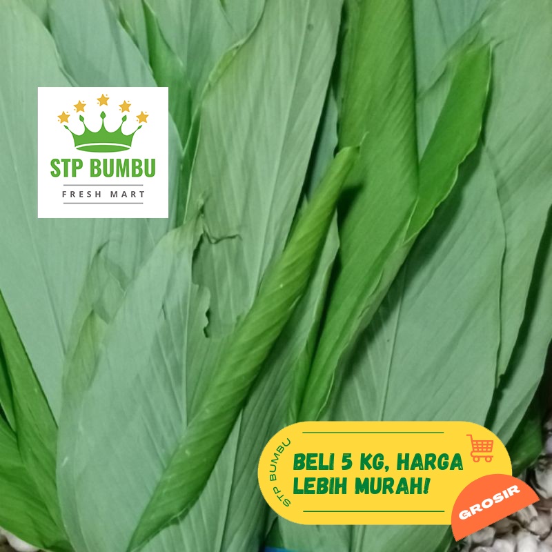 Jual Daun Kunyit Segar Fresh Kg Shopee Indonesia