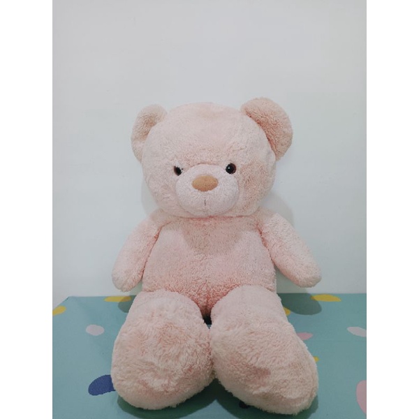 Harga teddy cheap bear kaison