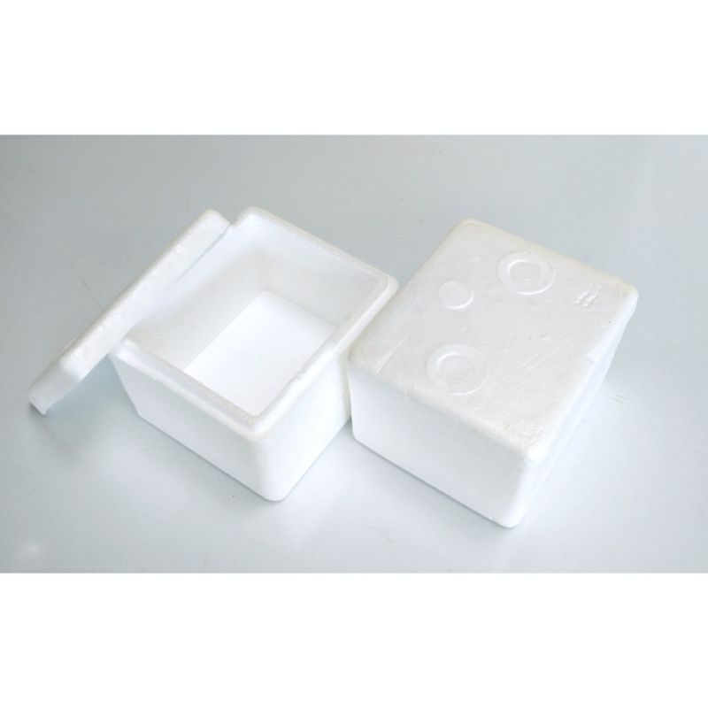 Jual Box Styrofoam kecil cacing Styrofoam kecil mini 20,5x18x15cm