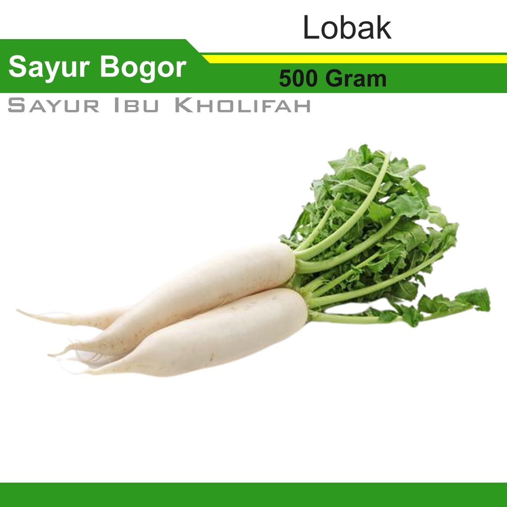 Jual Lobak Putih 500 Gram Sayur Sayuran Online Segar Bogor Shopee