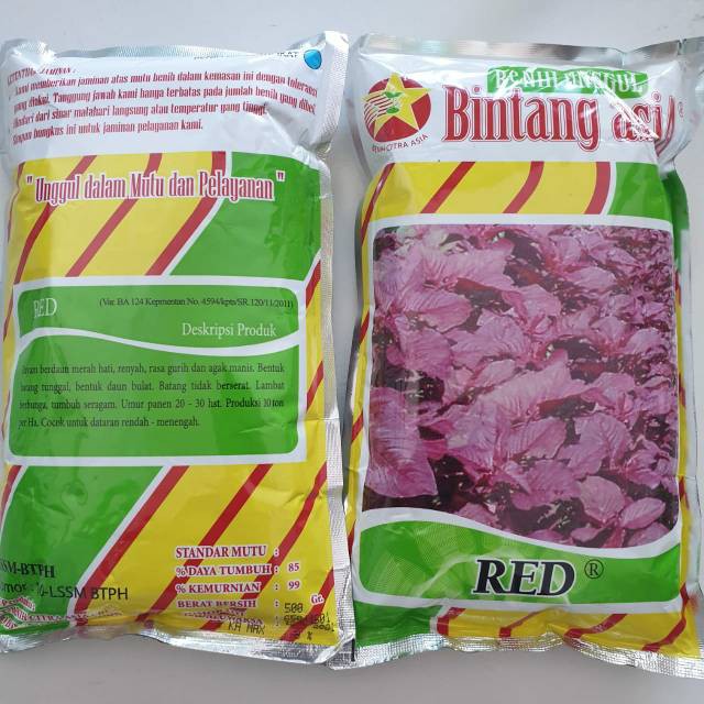 Jual Benih Bibit Bayam Merah Red 500gr (Bintang Asia) | Shopee Indonesia