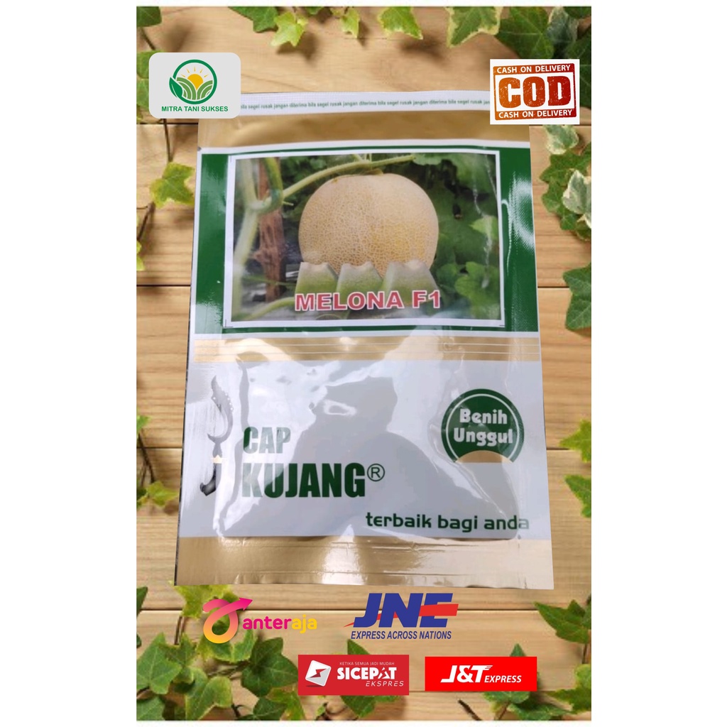 Jual benih bibit melon MELONE PLUS TAVI F1 dari cap kujang Shopee