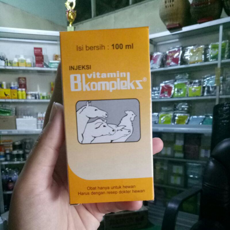 Jual INJEKSI VITAMIN B kompleks 100ml | Shopee Indonesia