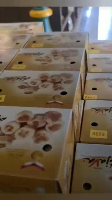 Jual Bakpia DJAVA Premium Bakpia Free Vakum Bubble Wrap | Shopee Indonesia