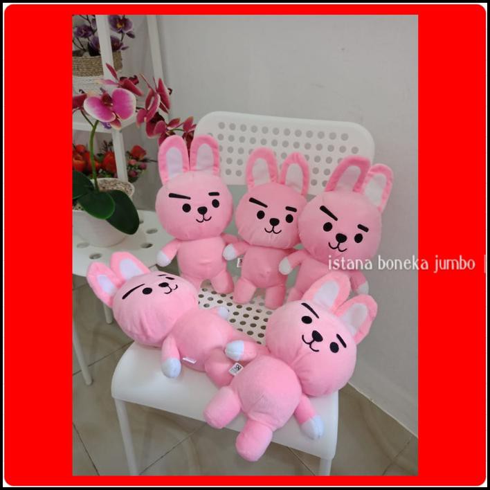 Jual Ijb Boneka Bts Bt21 Kpop Cooky Kecil Berat 150 Gram | Shopee Indonesia