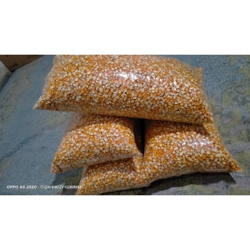 Jual Jual Jagung Pipil Kecil Jenis Hybrida Pakan Ayam Dan Burung Kemasan Kg Shopee Indonesia