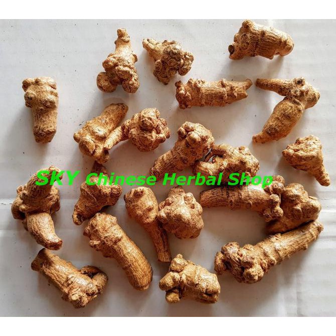 Jual Silahkan Order] Tian Qi Notoginseng Premium Utuh /Tian Chi San Qi