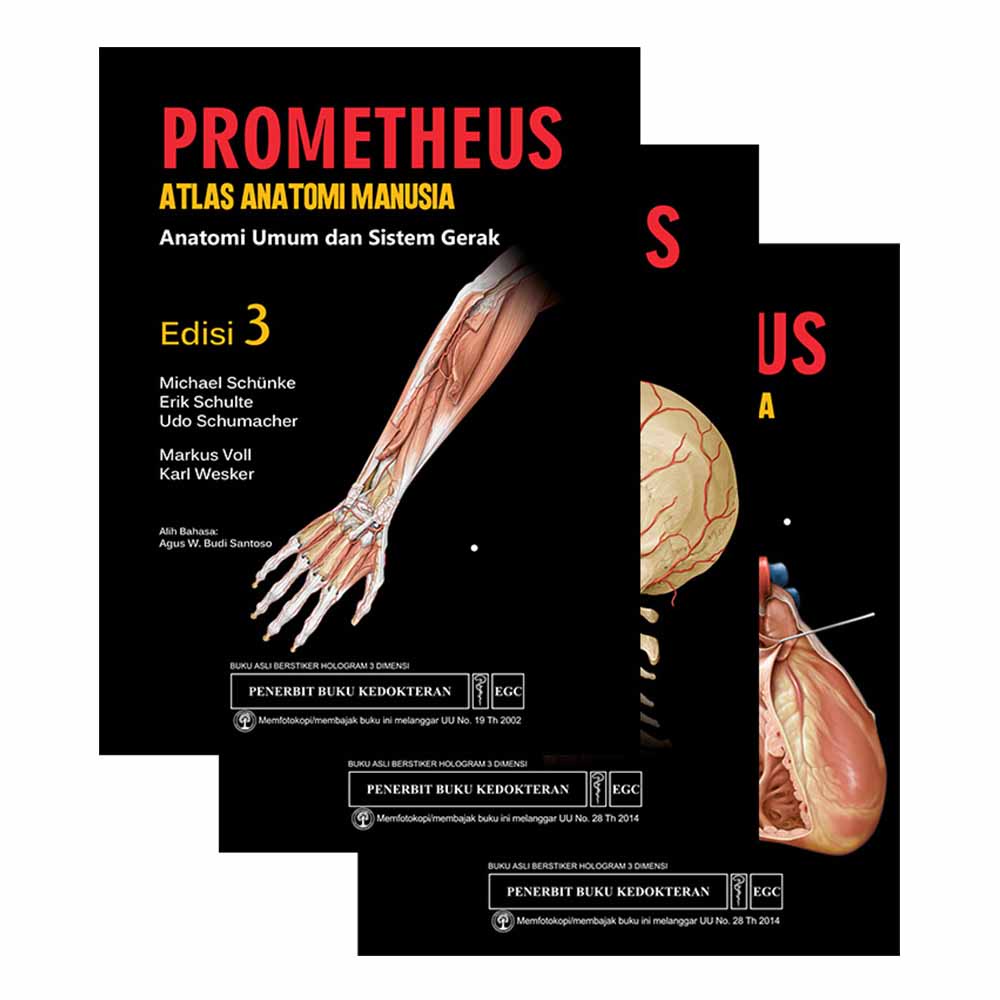 Jual Buku Prometheus Atlas Anatomi Manusia Edisi 3 (3 Buku) - Michael ...