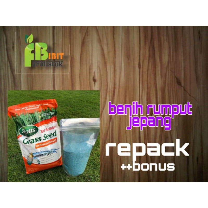 Jual 350 Biji Benih Rumput Jepang Bermuda Grass Shopee Indonesia