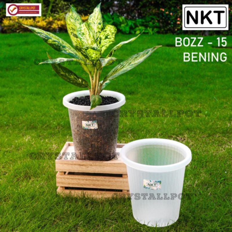 Jual Pot Bunga Tanaman Tinggi NKT BOZZ 15 BENING TRANSPARAN NKT BOZZ 15 BENING Shopee Indonesia