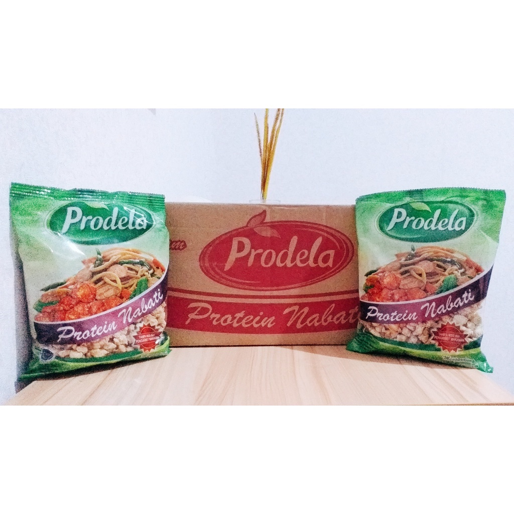 Jual Prodela/protein nabati/daging nabati Isi 24 Pcs/Prodela / Plant ...