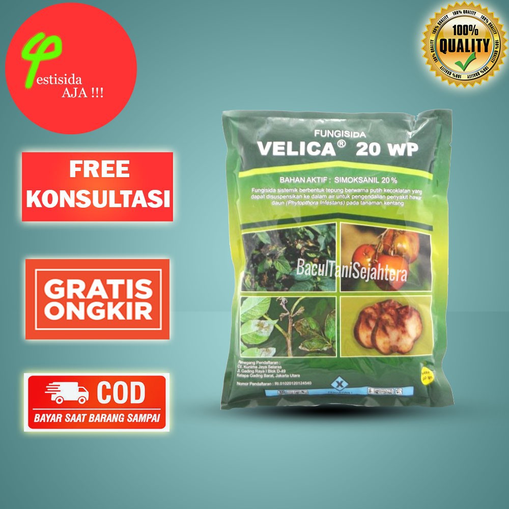 Jual VELICA 20 WP 500 GRAM FUNGISIDA penyakit hawar daun Phytophthora ...