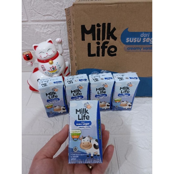 Jual SUSU UHT MILK LIFE 125ML SUSU UHT TERMURAH | Shopee Indonesia