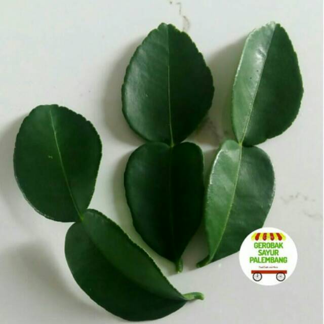 Jual Daun Jeruk Purut Segar Gerobak Sayur Palembang Shopee Indonesia