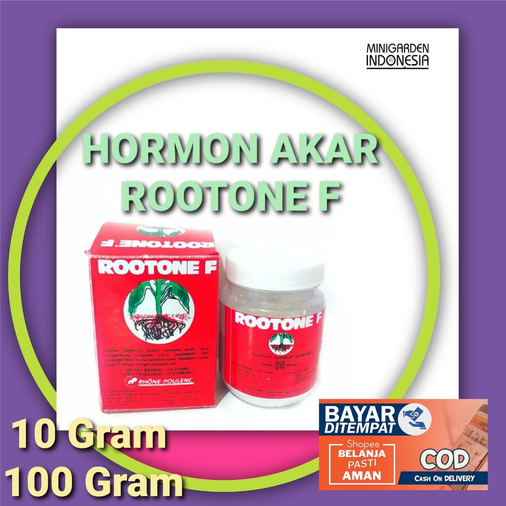 Jual ROOTONE F 100 GRAM BOTOL ZPT hormon pertumbuhan akar stek pupuk ...