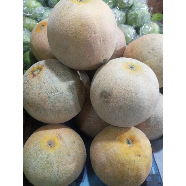 Jual Melon Madu 1 Buah Shopee Indonesia 