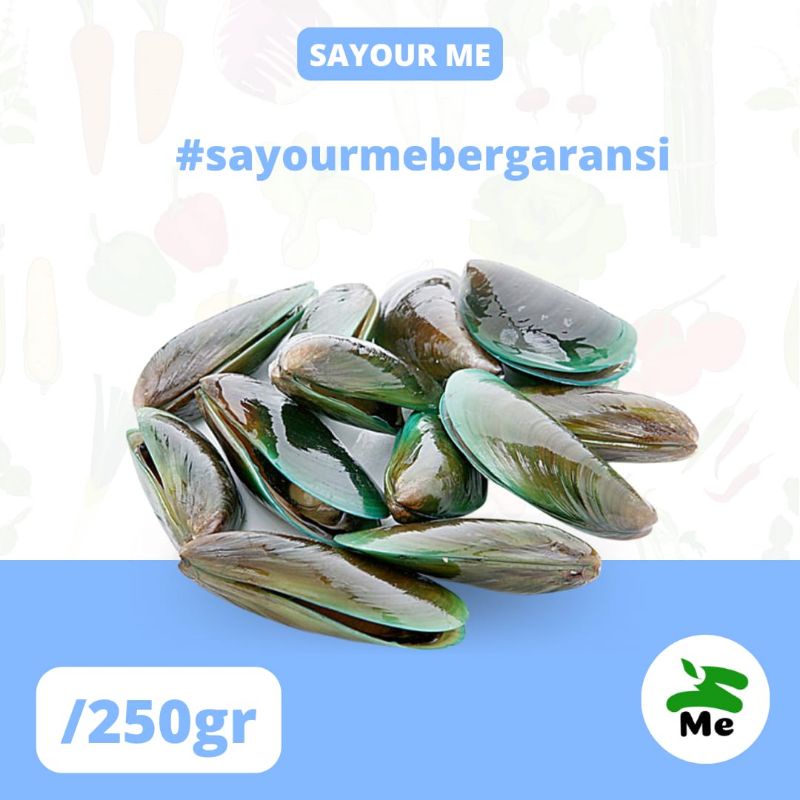 Jual Kerang hijau 250gr SAYOUR ME PALEMBANG Shopee Indonesia