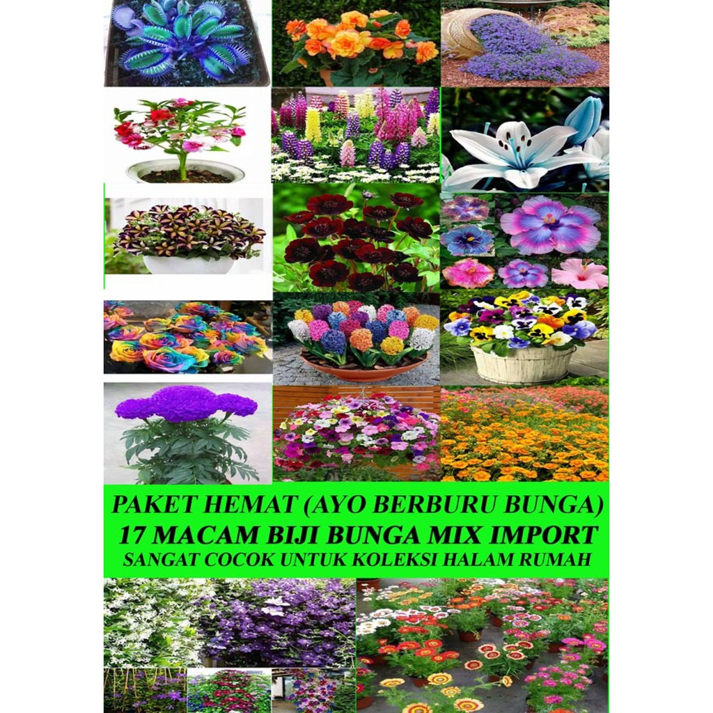 Jual 1 Paket Berisi 17 Macam Benih/Bibit/Biji Tanaman Bunga Impor ...