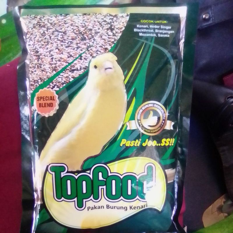 Makanan Burung Emprit Warna Warni: Panduan Lengkap untuk Pemilik Burung