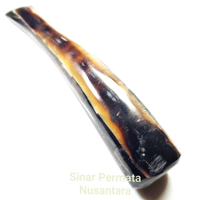Jual PROMO KEREN Pipa Cangklong Fosil Kerang | Shopee Indonesia