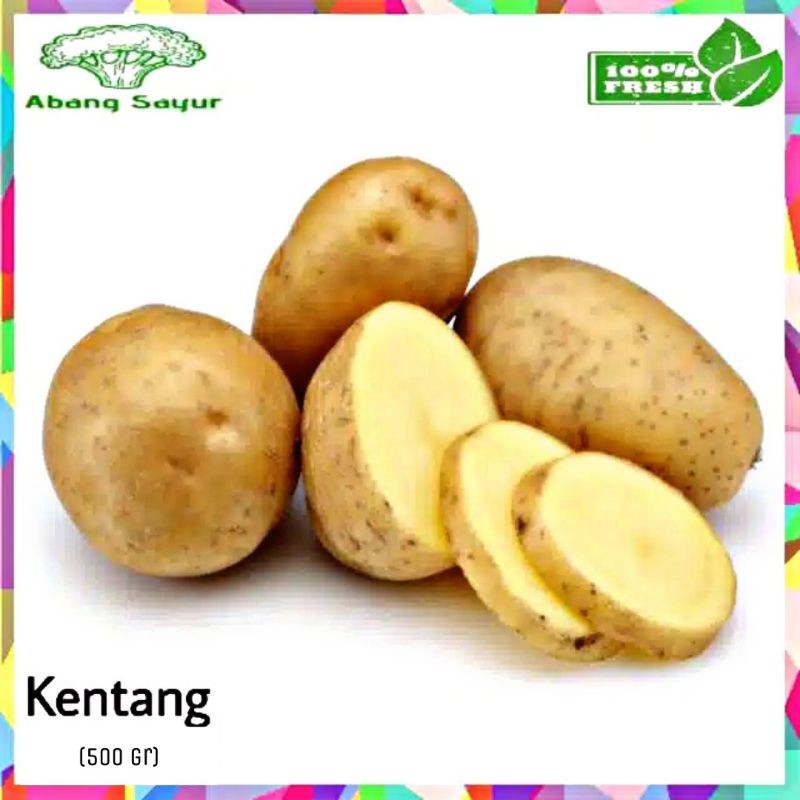 Jual Kentang Dieng Besar 500gr Shopee Indonesia