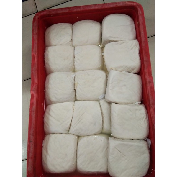 Jual Tahu Putih Besar Tahu Cina Besar Shopee Indonesia