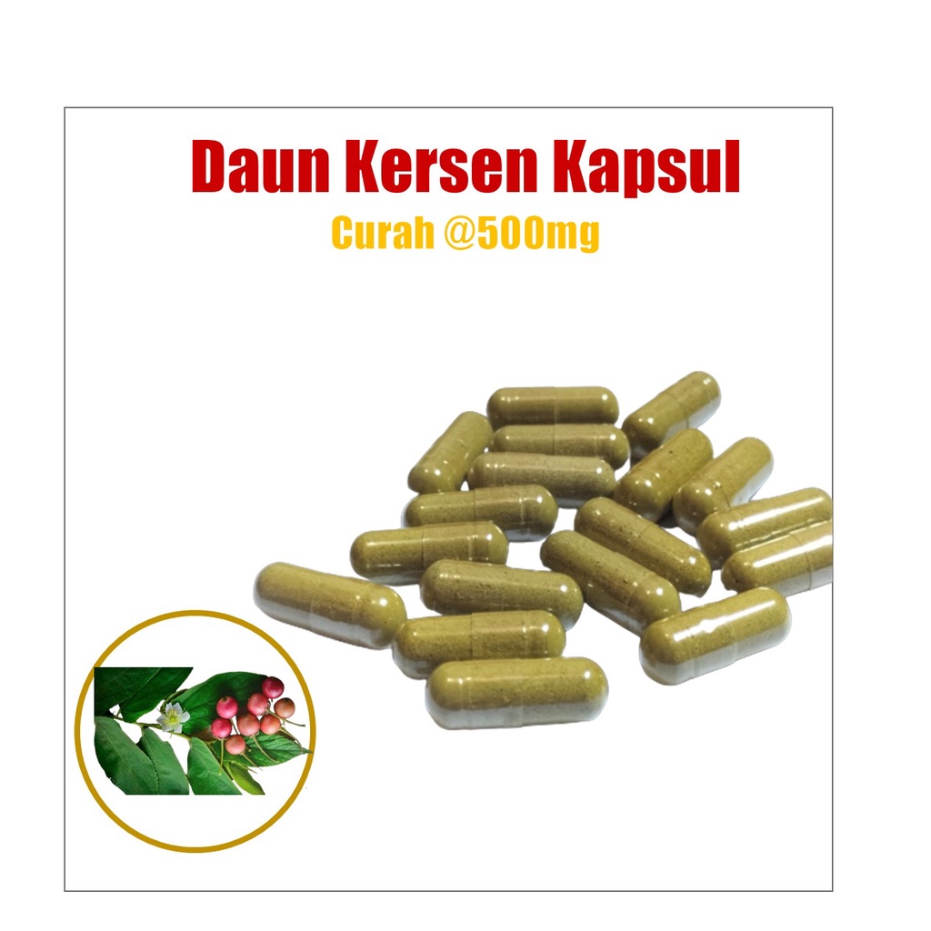 Jual Daun Kersen Curah Harga Per Kapsul Pcs Shopee Indonesia