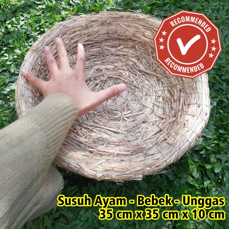 Jual Tarangan Ayam Bebek Entok Itik Sarang Susuh Serat Jerami Besar ...