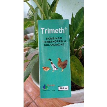 Jual Trimeth 200ml antibiotik saluran pernafasan dan pencernaan ...