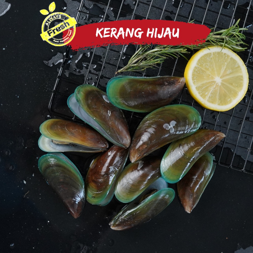 Jual Kerang Terlengkap & Harga Terbaru Juli 2026 | Shopee Indonesia