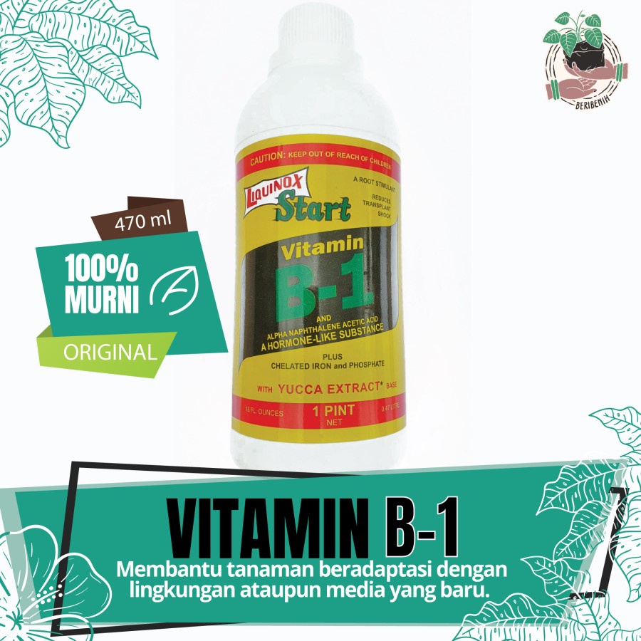 Jual Vitamin Cair Tanaman B1 Anti Stress Penguat Akar Nutrisi Tanaman ...