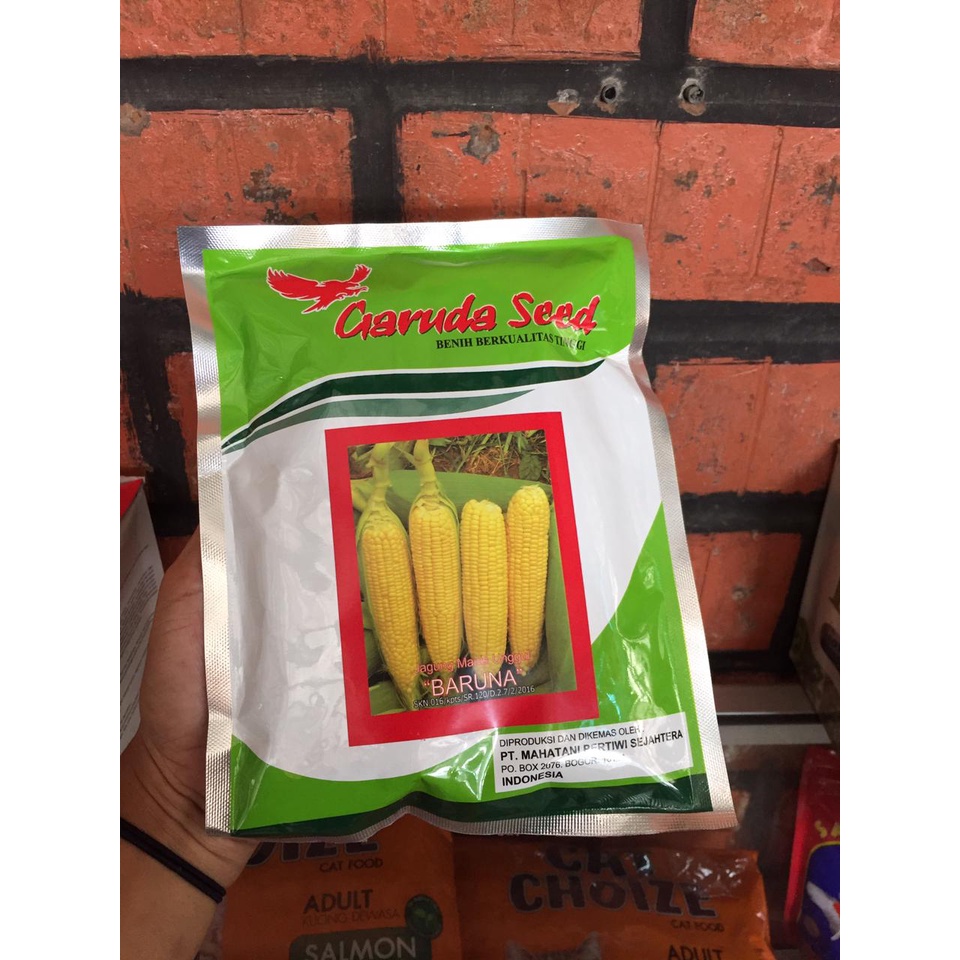 Jual Baruna Gr Benih Jagung Manis Garuda Seed Exotic Shopee Indonesia