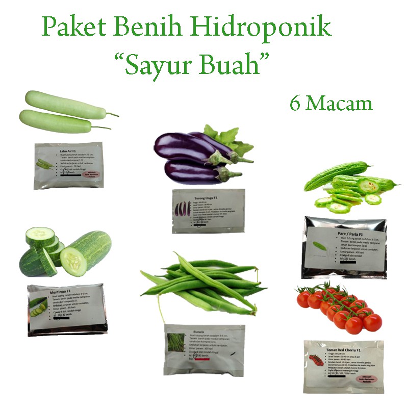 Jual Paket Benih Sayur Buah 6 Macam Shopee Indonesia