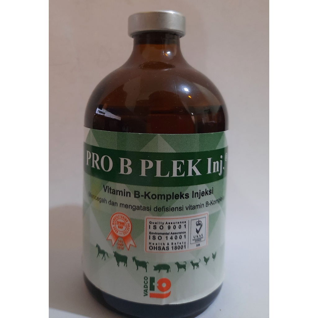 Jual PRO B PLEK INJ 100ML BY VADCO | VITAMIN B-KOMPLEKS INJEKSI ...