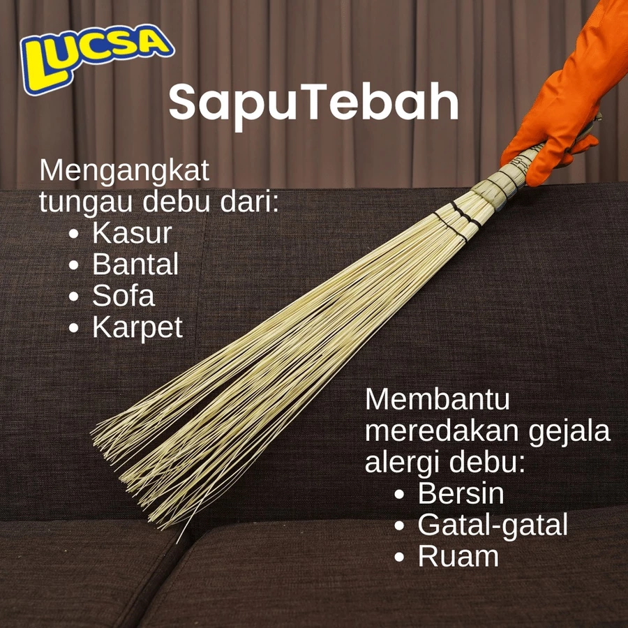  Sapu Tebah
