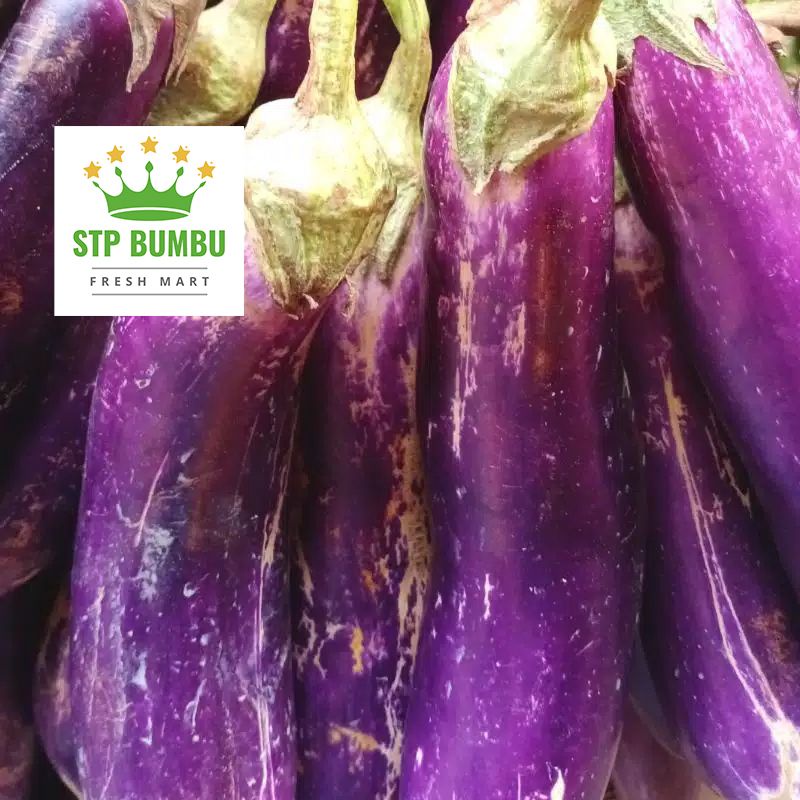 Jual Terong Ungu Panjang Segar 500 Gram Sayur Fresh Shopee Indonesia