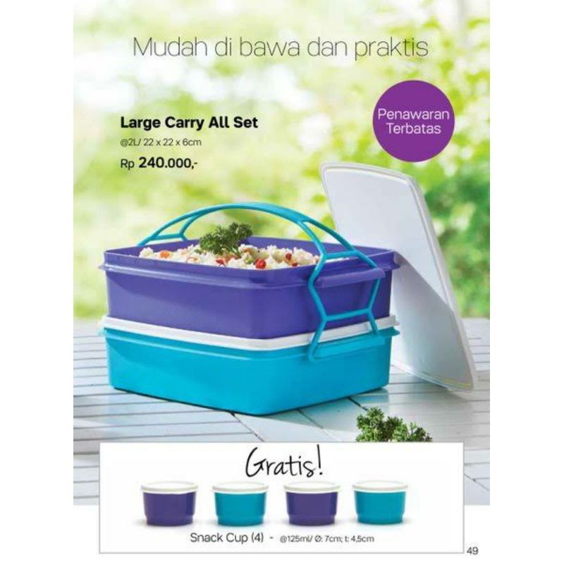 large carry all set tupperware plus gift