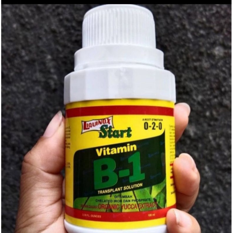 Jual Vitamin B1 Tanaman 100 ML/Liquinox Star Original/Anti Stres ...