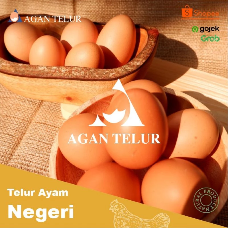 Telur Ayam Negeri Fresh Per Kg (15-16 Btr)